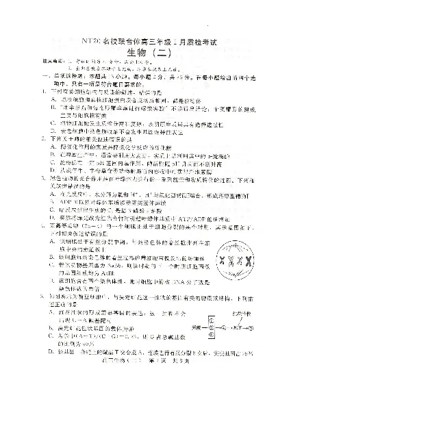 NT20名校联合体高三年级1月质检考试生物_2024-2026高三（6-6月题库）_2026年01月高三试卷_0107河北省NT20名校联合体高三年级1月质检考试（全）