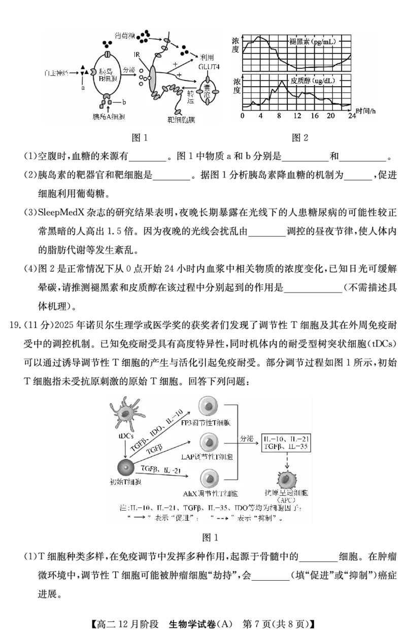 生物安徽省&ldquo;江南十校&rdquo;2025-2026学年高二12月阶段联考_251227安徽省&ldquo;江南十校&rdquo;2025-2026学年高二12月阶段联考（全）