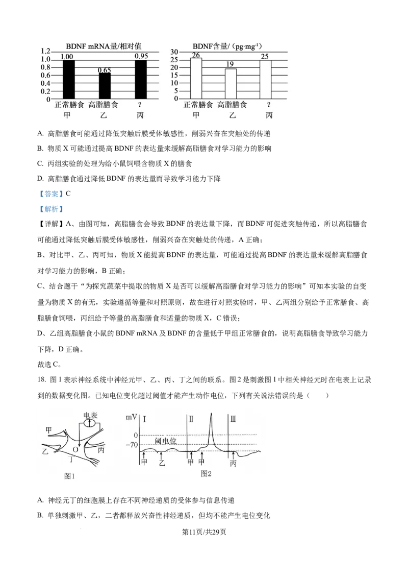 精品解析：湖北省武汉市第二中学2025-2026学年高二上学期９月月考生物试卷（解析版）_2025年10月高二试卷_251011湖北省武汉市第二中学2025-2026学年高二上学期9月月考