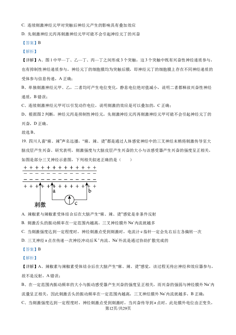 精品解析：湖北省武汉市第二中学2025-2026学年高二上学期９月月考生物试卷（解析版）_2025年10月高二试卷_251011湖北省武汉市第二中学2025-2026学年高二上学期9月月考
