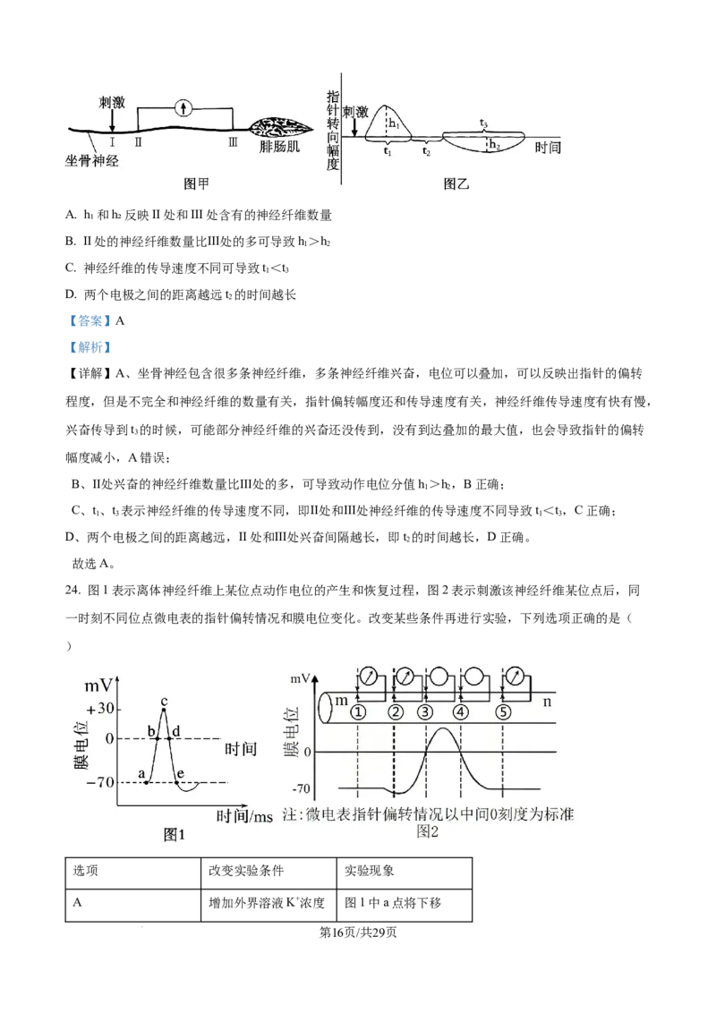 精品解析：湖北省武汉市第二中学2025-2026学年高二上学期９月月考生物试卷（解析版）_2025年10月高二试卷_251011湖北省武汉市第二中学2025-2026学年高二上学期9月月考