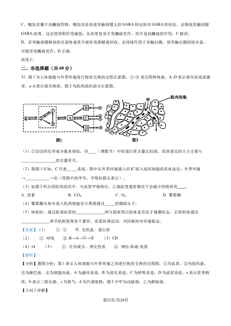 精品解析：湖北省武汉市第二中学2025-2026学年高二上学期９月月考生物试卷（解析版）_2025年10月高二试卷_251011湖北省武汉市第二中学2025-2026学年高二上学期9月月考