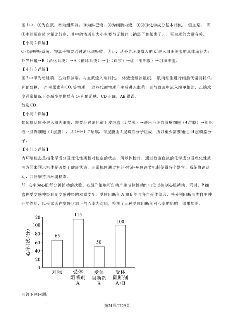 精品解析：湖北省武汉市第二中学2025-2026学年高二上学期９月月考生物试卷（解析版）_2025年10月高二试卷_251011湖北省武汉市第二中学2025-2026学年高二上学期9月月考