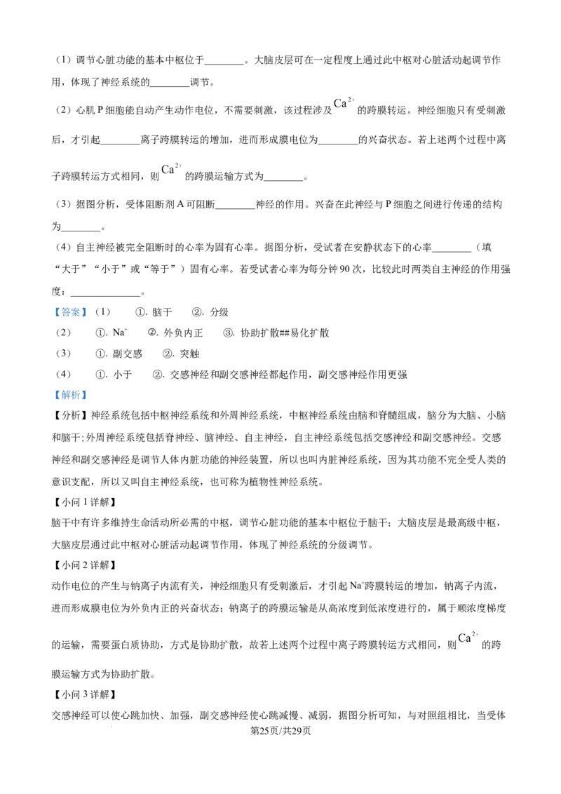 精品解析：湖北省武汉市第二中学2025-2026学年高二上学期９月月考生物试卷（解析版）_2025年10月高二试卷_251011湖北省武汉市第二中学2025-2026学年高二上学期9月月考
