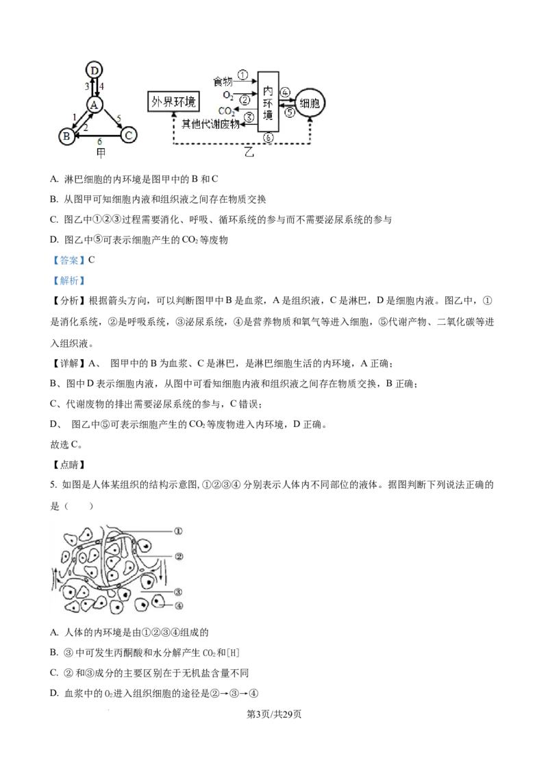 精品解析：湖北省武汉市第二中学2025-2026学年高二上学期９月月考生物试卷（解析版）_2025年10月高二试卷_251011湖北省武汉市第二中学2025-2026学年高二上学期9月月考