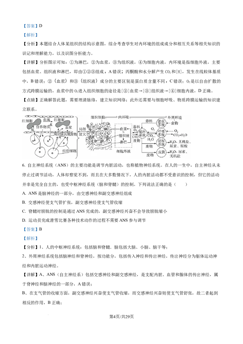 精品解析：湖北省武汉市第二中学2025-2026学年高二上学期９月月考生物试卷（解析版）_2025年10月高二试卷_251011湖北省武汉市第二中学2025-2026学年高二上学期9月月考
