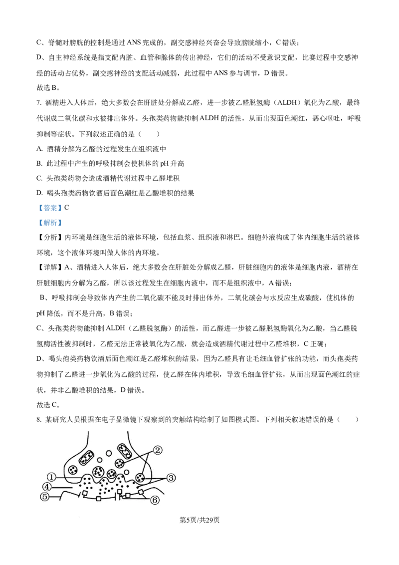 精品解析：湖北省武汉市第二中学2025-2026学年高二上学期９月月考生物试卷（解析版）_2025年10月高二试卷_251011湖北省武汉市第二中学2025-2026学年高二上学期9月月考