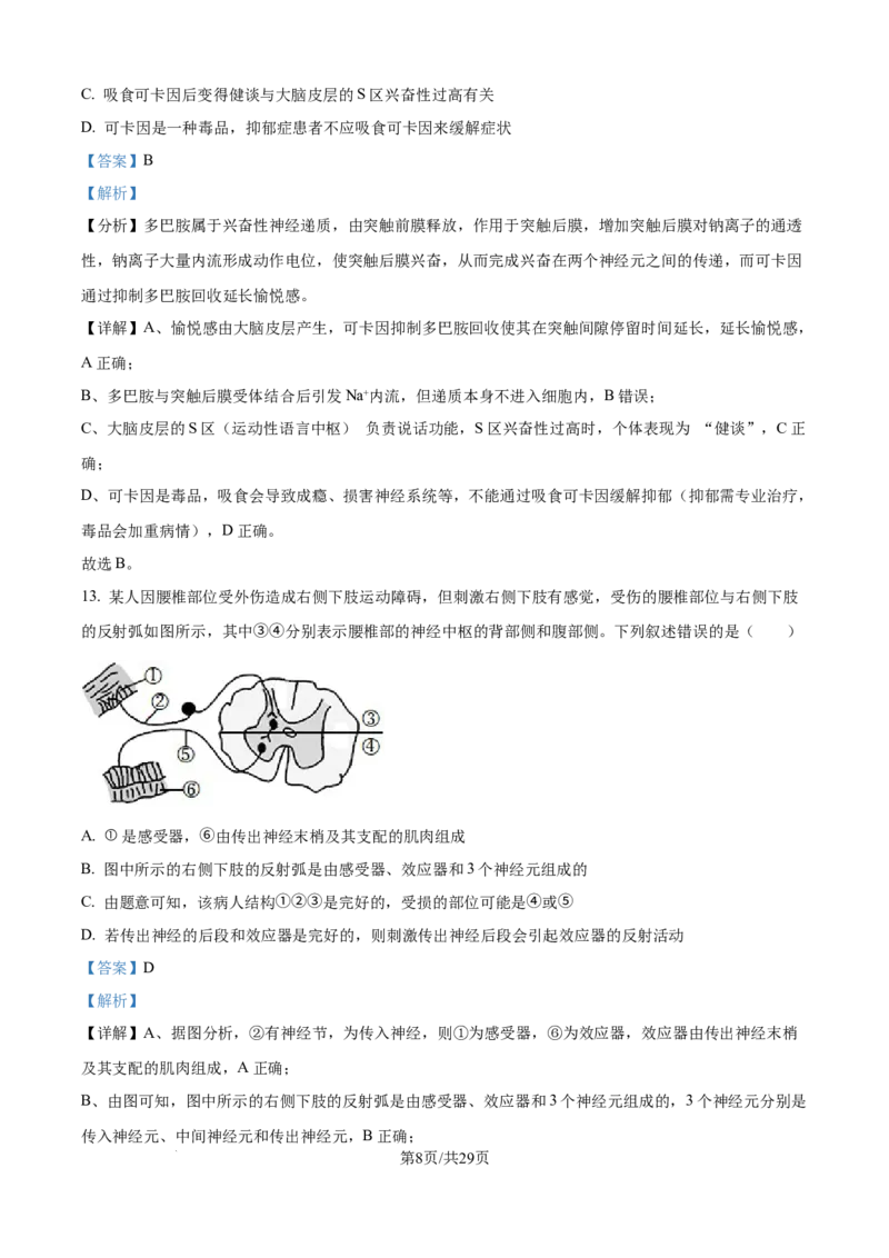 精品解析：湖北省武汉市第二中学2025-2026学年高二上学期９月月考生物试卷（解析版）_2025年10月高二试卷_251011湖北省武汉市第二中学2025-2026学年高二上学期9月月考