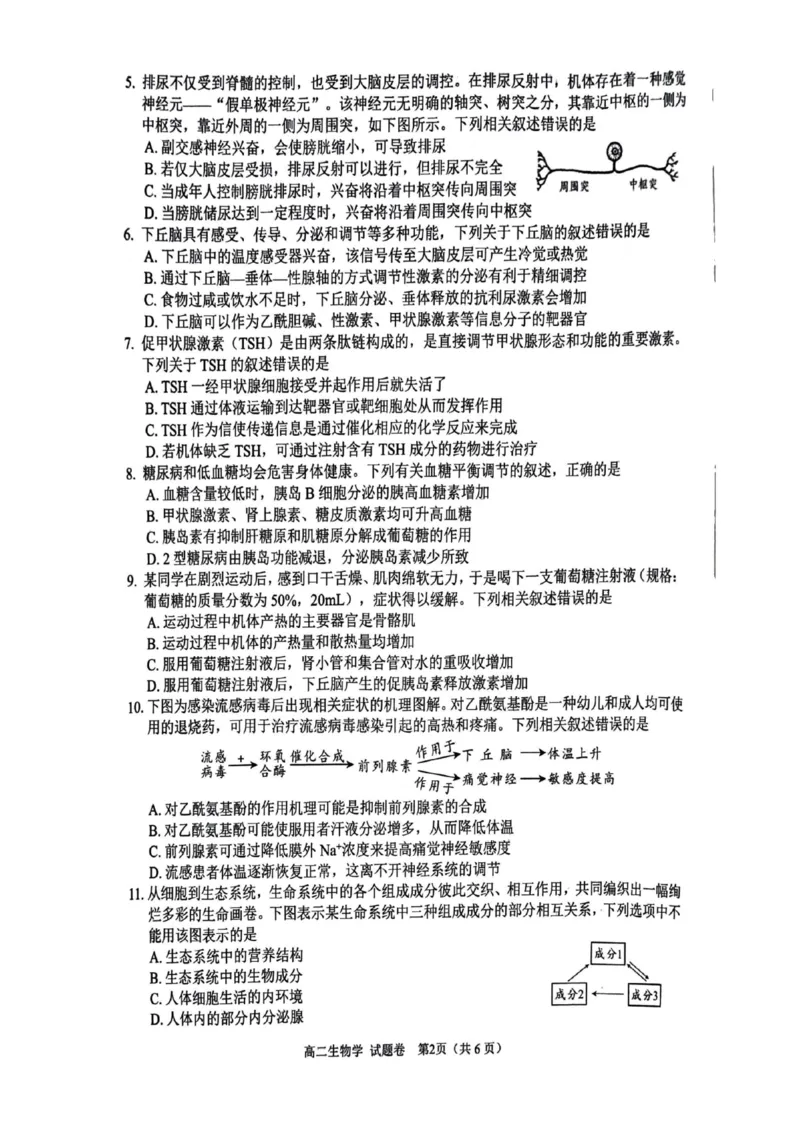 绵阳市2024-2025学年高二上期末考试生物学试题_2024-2025高二（7-7月题库）_2025年02月试卷_0210四川省绵阳市2024-2025学年高二上学期期末考试试题