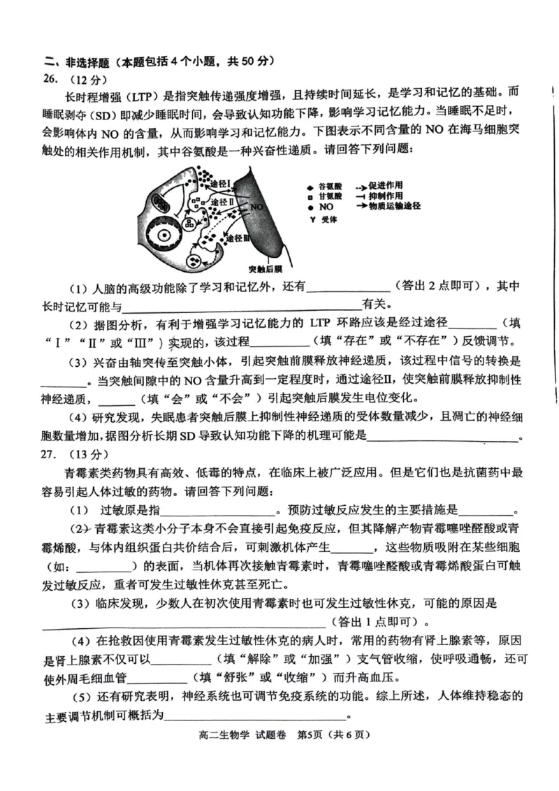 绵阳市2024-2025学年高二上期末考试生物学试题_2024-2025高二（7-7月题库）_2025年02月试卷_0210四川省绵阳市2024-2025学年高二上学期期末考试试题
