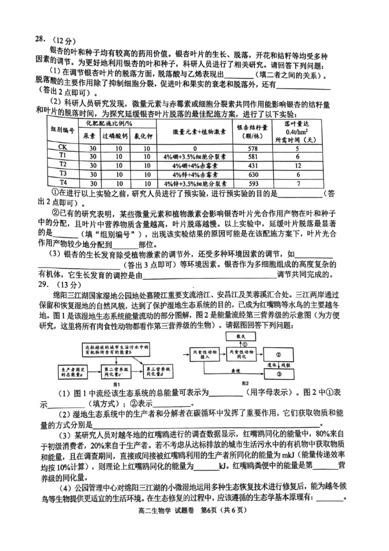 绵阳市2024-2025学年高二上期末考试生物学试题_2024-2025高二（7-7月题库）_2025年02月试卷_0210四川省绵阳市2024-2025学年高二上学期期末考试试题