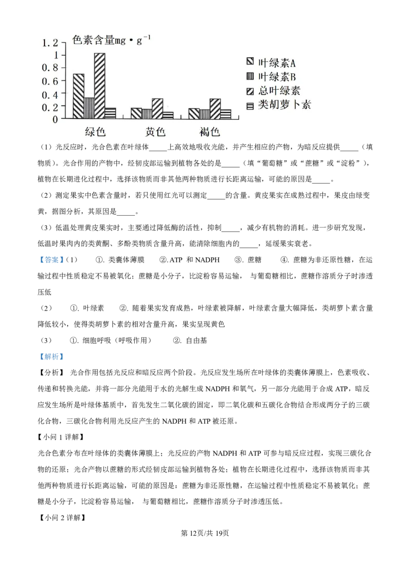 精品解析：海南省海口市2024-2025学年高三上学期10月摸底考试生物试题（解析版）_2024-2025高三（6-6月题库）_2024年11月试卷_1104海南省海口市2024-2025学年高三上学期10月摸底考试