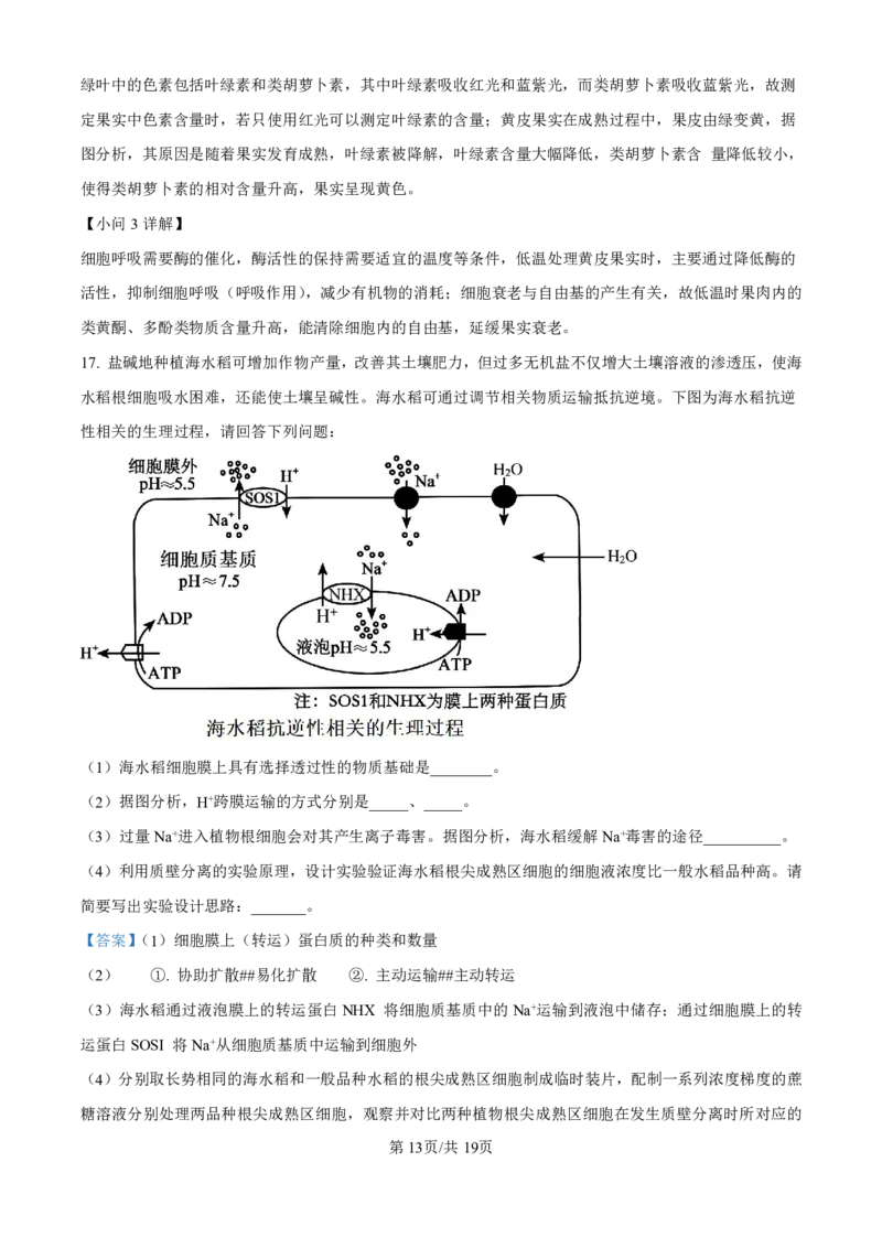 精品解析：海南省海口市2024-2025学年高三上学期10月摸底考试生物试题（解析版）_2024-2025高三（6-6月题库）_2024年11月试卷_1104海南省海口市2024-2025学年高三上学期10月摸底考试