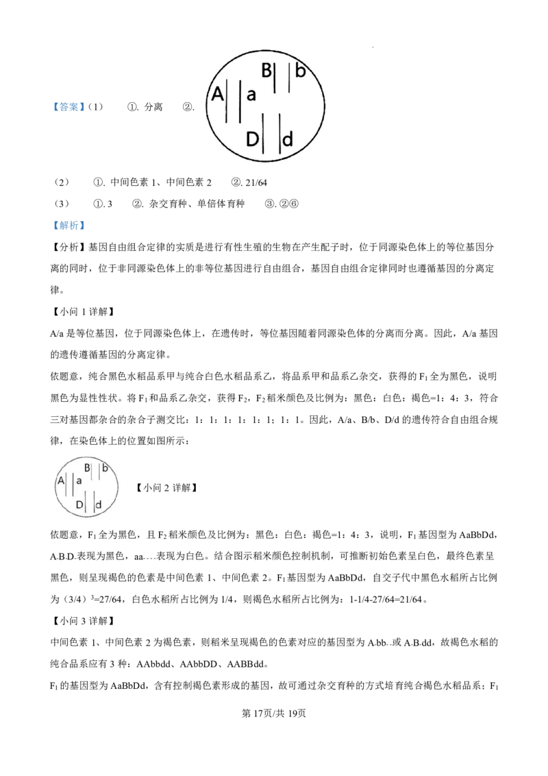 精品解析：海南省海口市2024-2025学年高三上学期10月摸底考试生物试题（解析版）_2024-2025高三（6-6月题库）_2024年11月试卷_1104海南省海口市2024-2025学年高三上学期10月摸底考试
