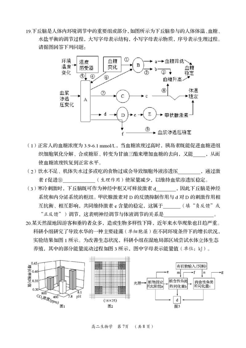 生物卷_2024-2025高二（7-7月题库）_2024年07月试卷_0702湖南省岳阳市2023-2024学年高二下学期期末考试_湖南省岳阳市2023-2024学年高二下学期期末考试生物