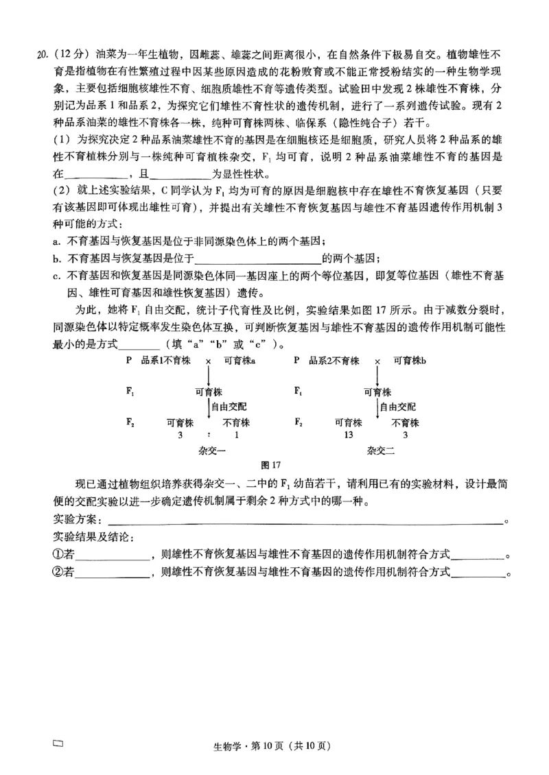 重庆市第八中学2025届高考适应性月考卷（二）生物_2024-2025高三（6-6月题库）_2024年10月试卷_1028重庆市第八中学2025届高考适应性月考卷（二）