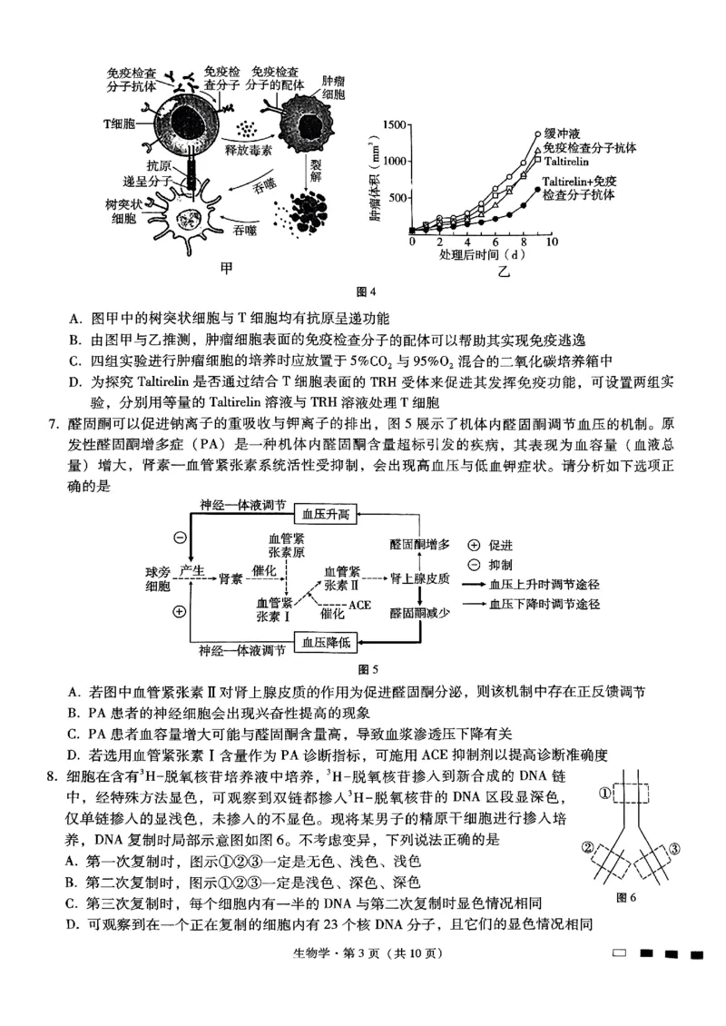 重庆市第八中学2025届高考适应性月考卷（二）生物_2024-2025高三（6-6月题库）_2024年10月试卷_1028重庆市第八中学2025届高考适应性月考卷（二）