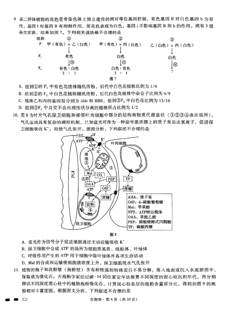 重庆市第八中学2025届高考适应性月考卷（二）生物_2024-2025高三（6-6月题库）_2024年10月试卷_1028重庆市第八中学2025届高考适应性月考卷（二）