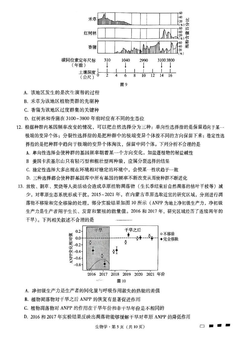 重庆市第八中学2025届高考适应性月考卷（二）生物_2024-2025高三（6-6月题库）_2024年10月试卷_1028重庆市第八中学2025届高考适应性月考卷（二）