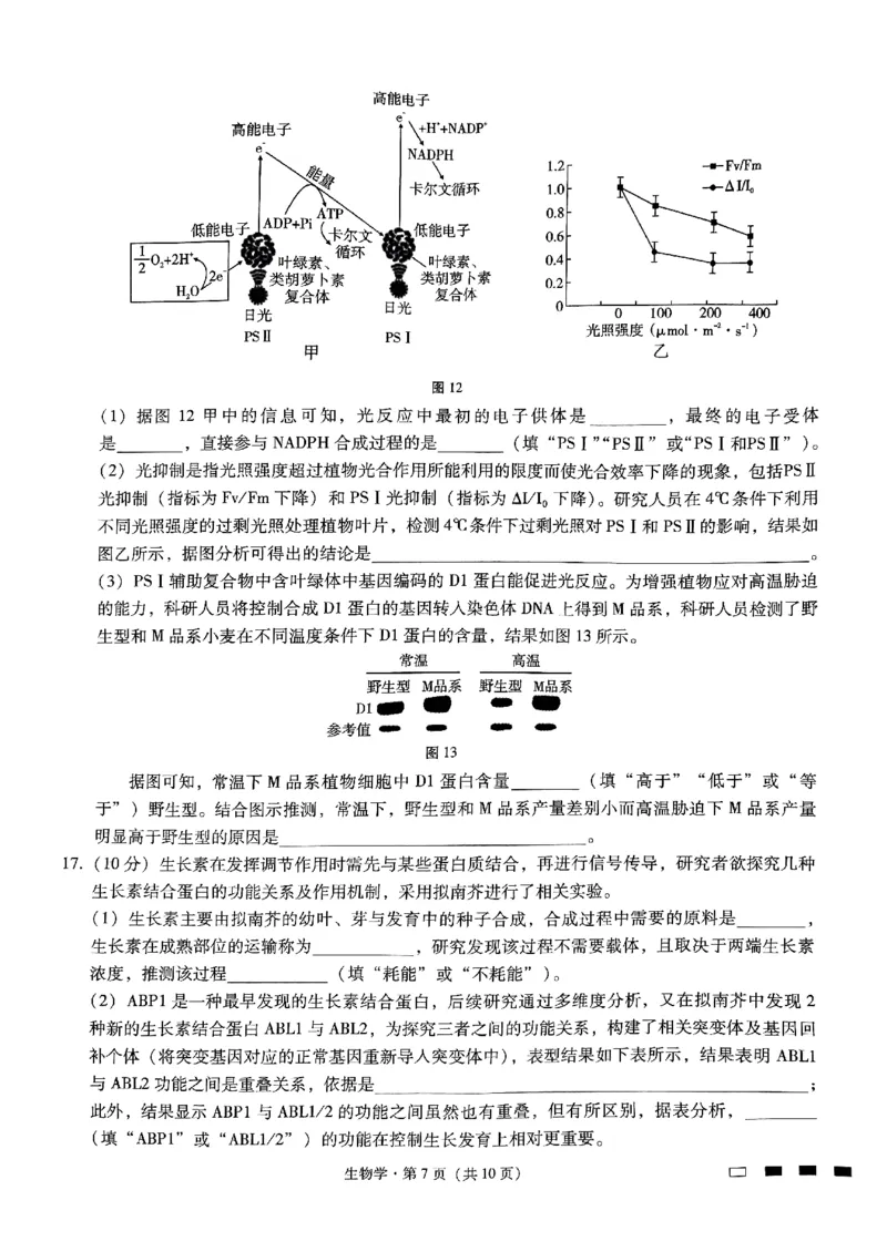 重庆市第八中学2025届高考适应性月考卷（二）生物_2024-2025高三（6-6月题库）_2024年10月试卷_1028重庆市第八中学2025届高考适应性月考卷（二）