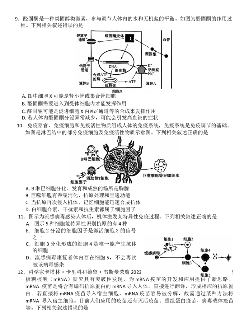 生物试题_2024-2025高二（7-7月题库）_2024年11月试卷_1117安徽省阜阳市太和中学2024-2025学年高二上学期11月期中考试_安徽省阜阳市太和中学2024-2025学年高二上学期11月期中生物试题