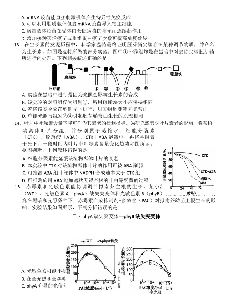 生物试题_2024-2025高二（7-7月题库）_2024年11月试卷_1117安徽省阜阳市太和中学2024-2025学年高二上学期11月期中考试_安徽省阜阳市太和中学2024-2025学年高二上学期11月期中生物试题