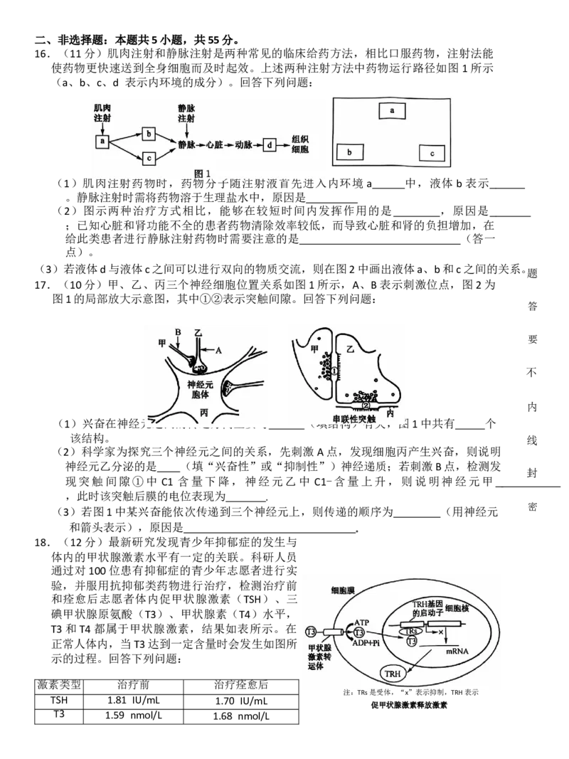 生物试题_2024-2025高二（7-7月题库）_2024年11月试卷_1117安徽省阜阳市太和中学2024-2025学年高二上学期11月期中考试_安徽省阜阳市太和中学2024-2025学年高二上学期11月期中生物试题