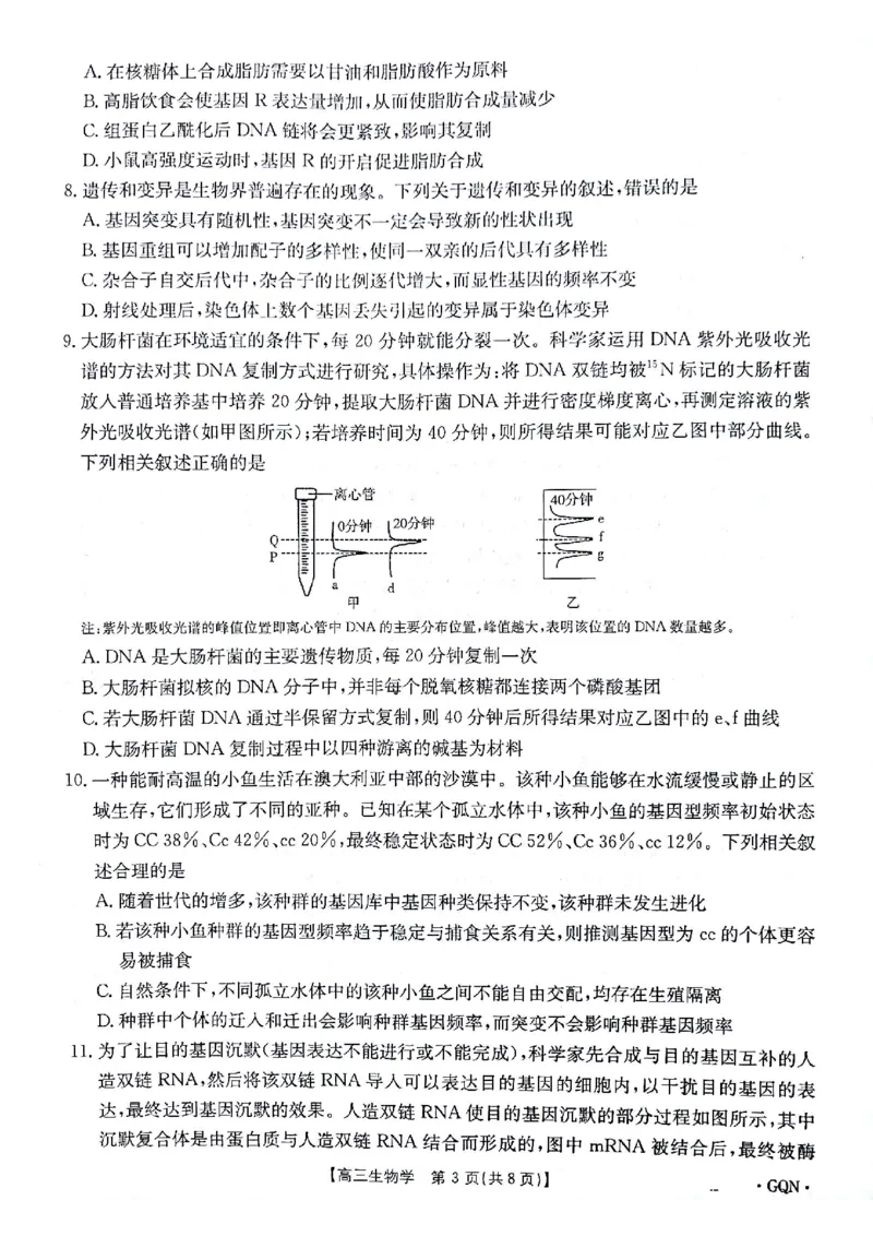 生物试题_2024-2025高三（6-6月题库）_2024年11月试卷_1116金太阳2025届高三11月期中百万联考2001C（甘青宁）（全科）_金太阳2025届高三11月期中百万联考2001C（甘青宁）生物试题
