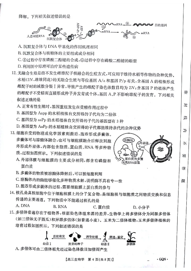 生物试题_2024-2025高三（6-6月题库）_2024年11月试卷_1116金太阳2025届高三11月期中百万联考2001C（甘青宁）（全科）_金太阳2025届高三11月期中百万联考2001C（甘青宁）生物试题