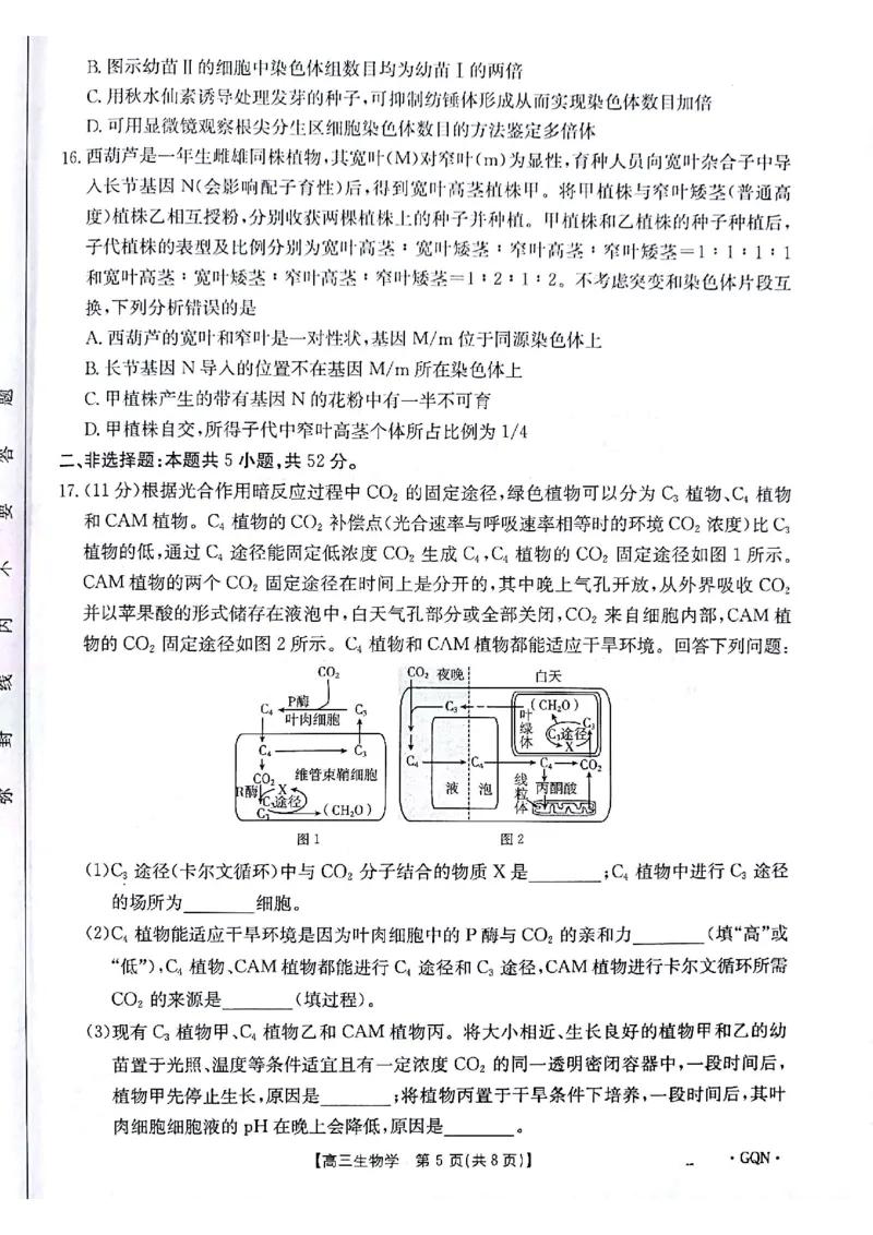 生物试题_2024-2025高三（6-6月题库）_2024年11月试卷_1116金太阳2025届高三11月期中百万联考2001C（甘青宁）（全科）_金太阳2025届高三11月期中百万联考2001C（甘青宁）生物试题