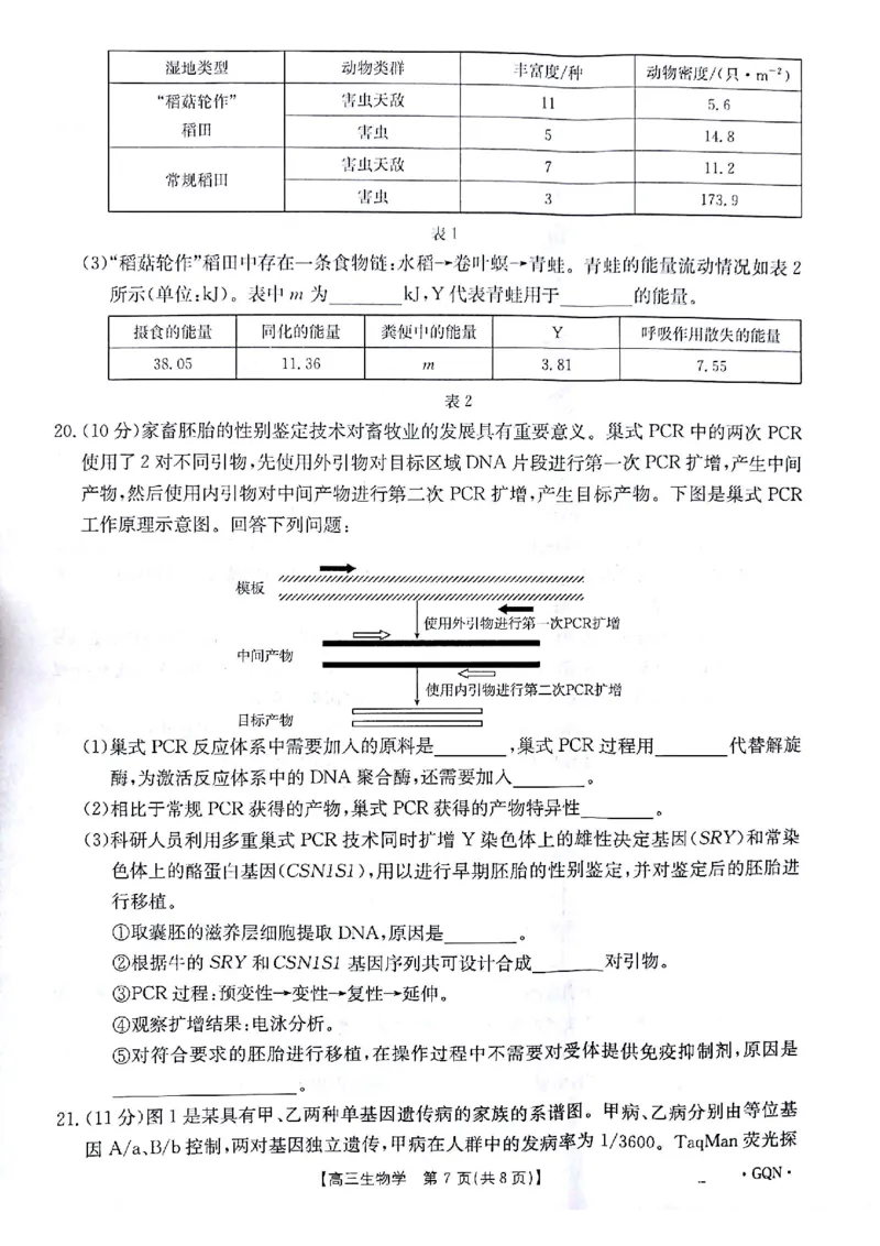 生物试题_2024-2025高三（6-6月题库）_2024年11月试卷_1116金太阳2025届高三11月期中百万联考2001C（甘青宁）（全科）_金太阳2025届高三11月期中百万联考2001C（甘青宁）生物试题