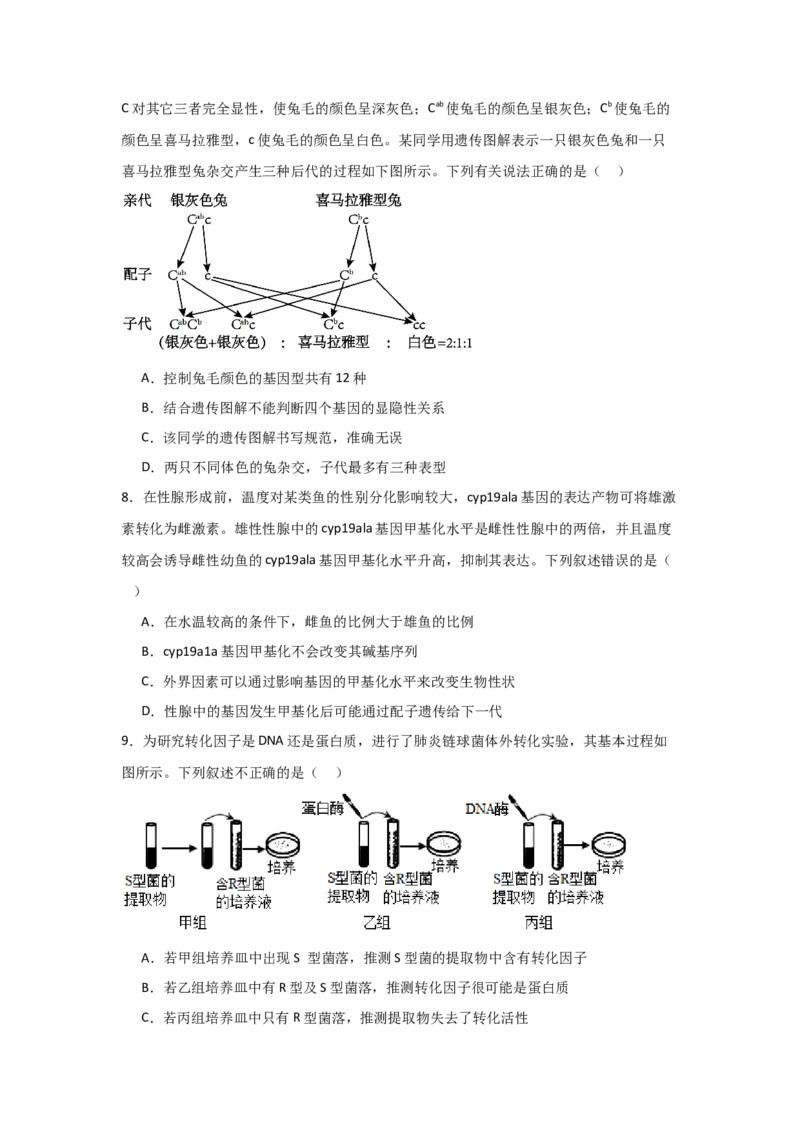河南省信阳高级中学新校（贤岭校区）2025-2026学年高二上期09月测试（二）生物试题_2025年10月高二试卷_251008河南省信阳市浉河区信阳高级中学2025-2026学年高二上学期9月月考