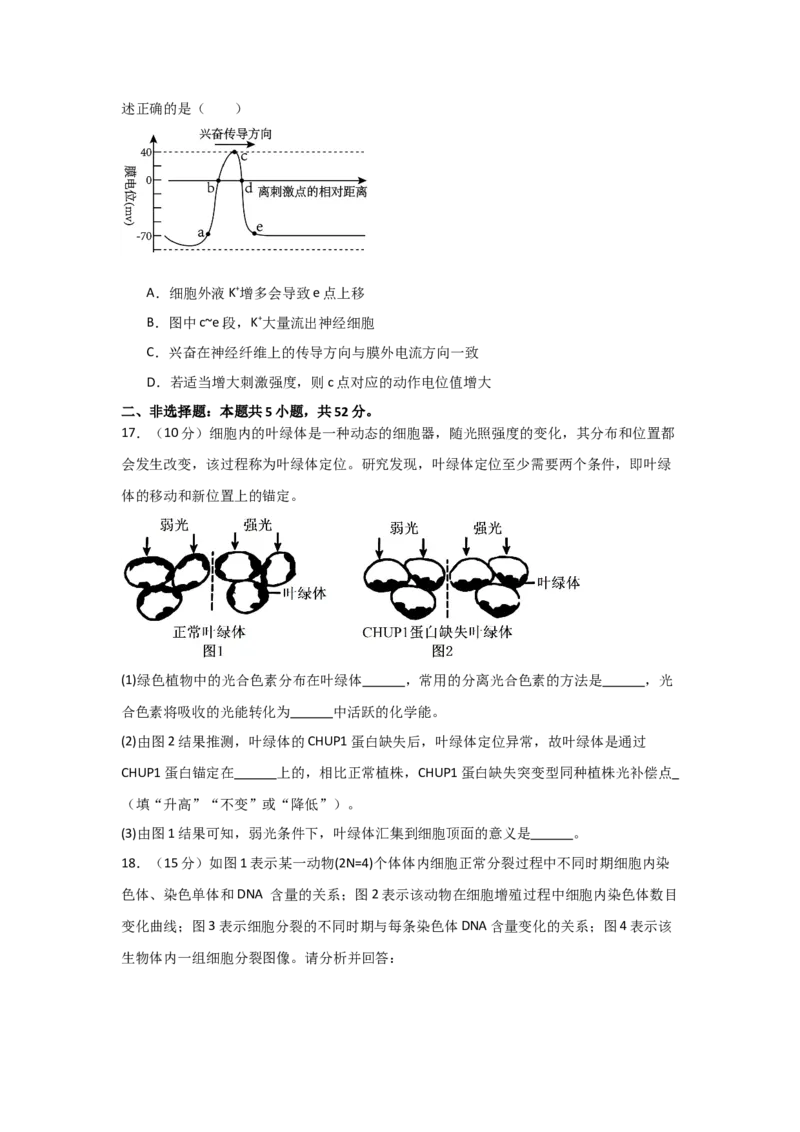 河南省信阳高级中学新校（贤岭校区）2025-2026学年高二上期09月测试（二）生物试题_2025年10月高二试卷_251008河南省信阳市浉河区信阳高级中学2025-2026学年高二上学期9月月考