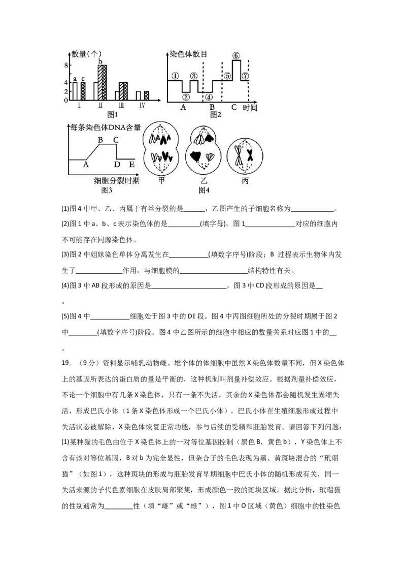河南省信阳高级中学新校（贤岭校区）2025-2026学年高二上期09月测试（二）生物试题_2025年10月高二试卷_251008河南省信阳市浉河区信阳高级中学2025-2026学年高二上学期9月月考