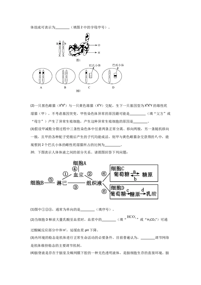 河南省信阳高级中学新校（贤岭校区）2025-2026学年高二上期09月测试（二）生物试题_2025年10月高二试卷_251008河南省信阳市浉河区信阳高级中学2025-2026学年高二上学期9月月考
