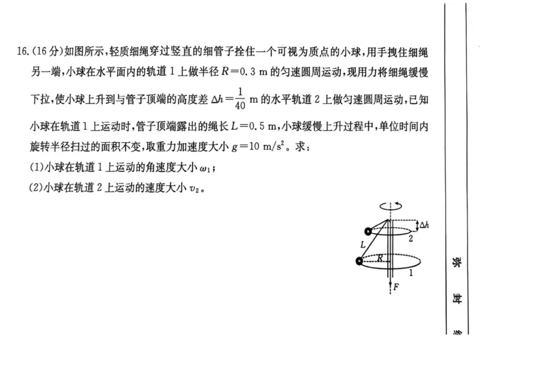 福建省金太阳2024-2025学年高三上学期半期考试（25-121C）物理试题（含答案）_2024-2025高三（6-6月题库）_2024年11月试卷_1109福建省金太阳2024-2025学年高三上学期半期考试（25-121C）