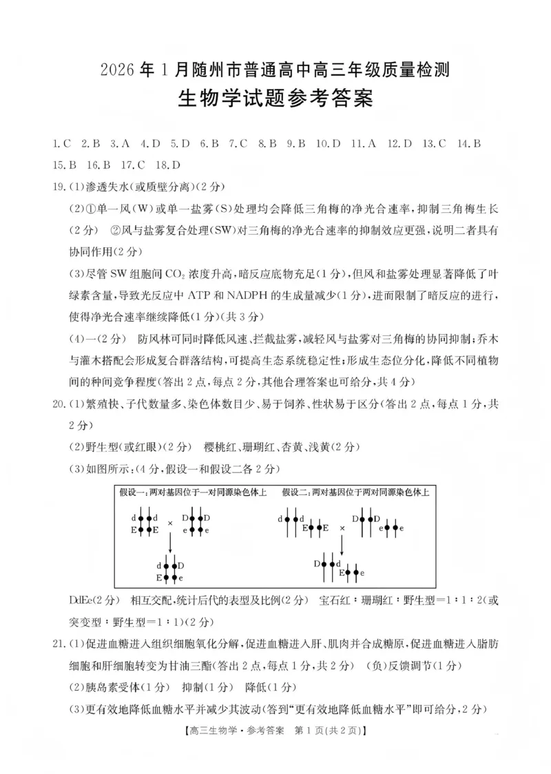 2026年1月随州市普通高中高三年级质量检测生物答案_2024-2026高三（6-6月题库）_2026年01月高三试卷_0112湖北省2026年1月随州市普通高中高三年级质量检测