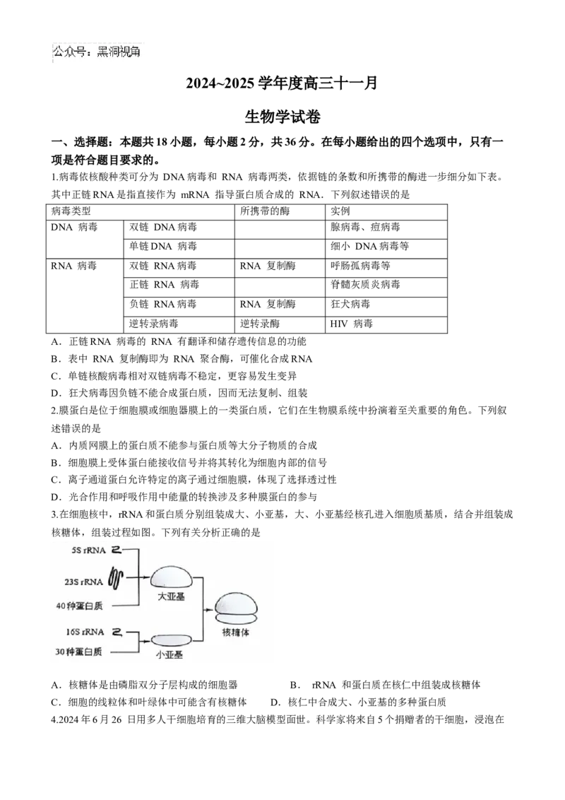 湖北省武汉市江岸区2024-2025学年高三上学期11月调考生物试卷（有答案）_2024-2025高三（6-6月题库）_2024年11月试卷_1118湖北省武汉市江岸区2024-2025学年高三上学期11月调研考试（全科）