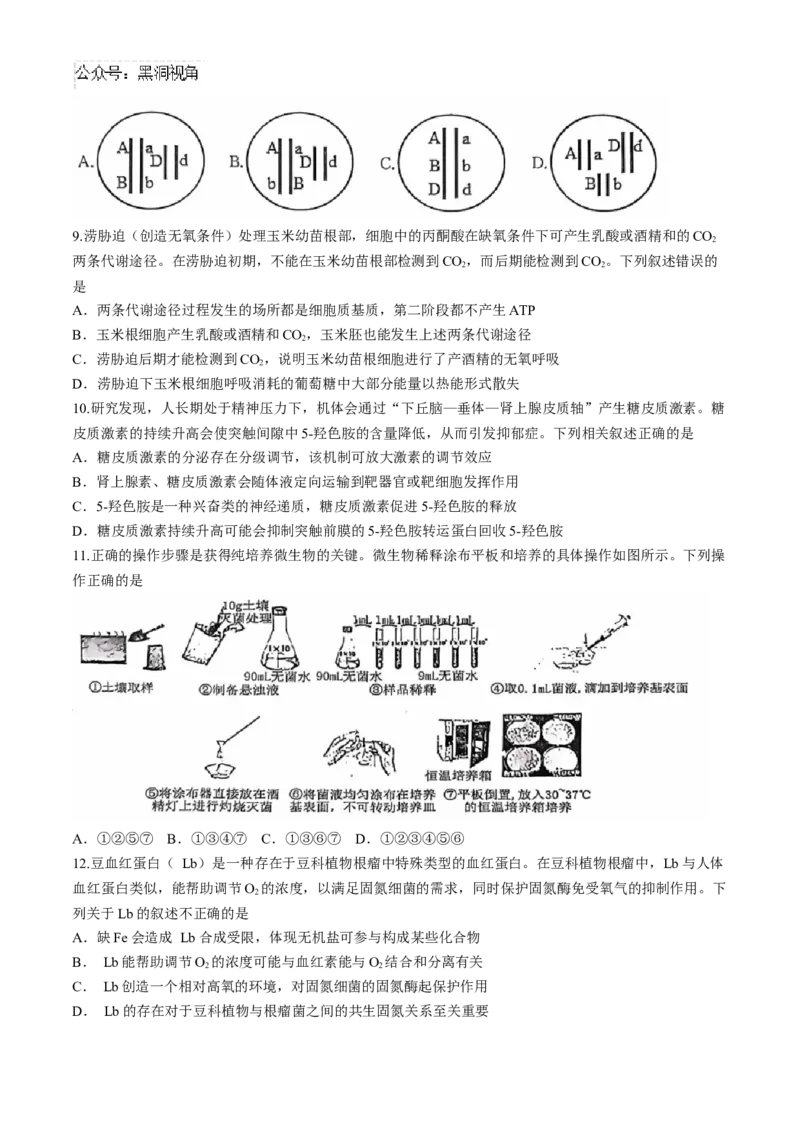 湖北省武汉市江岸区2024-2025学年高三上学期11月调考生物试卷（有答案）_2024-2025高三（6-6月题库）_2024年11月试卷_1118湖北省武汉市江岸区2024-2025学年高三上学期11月调研考试（全科）