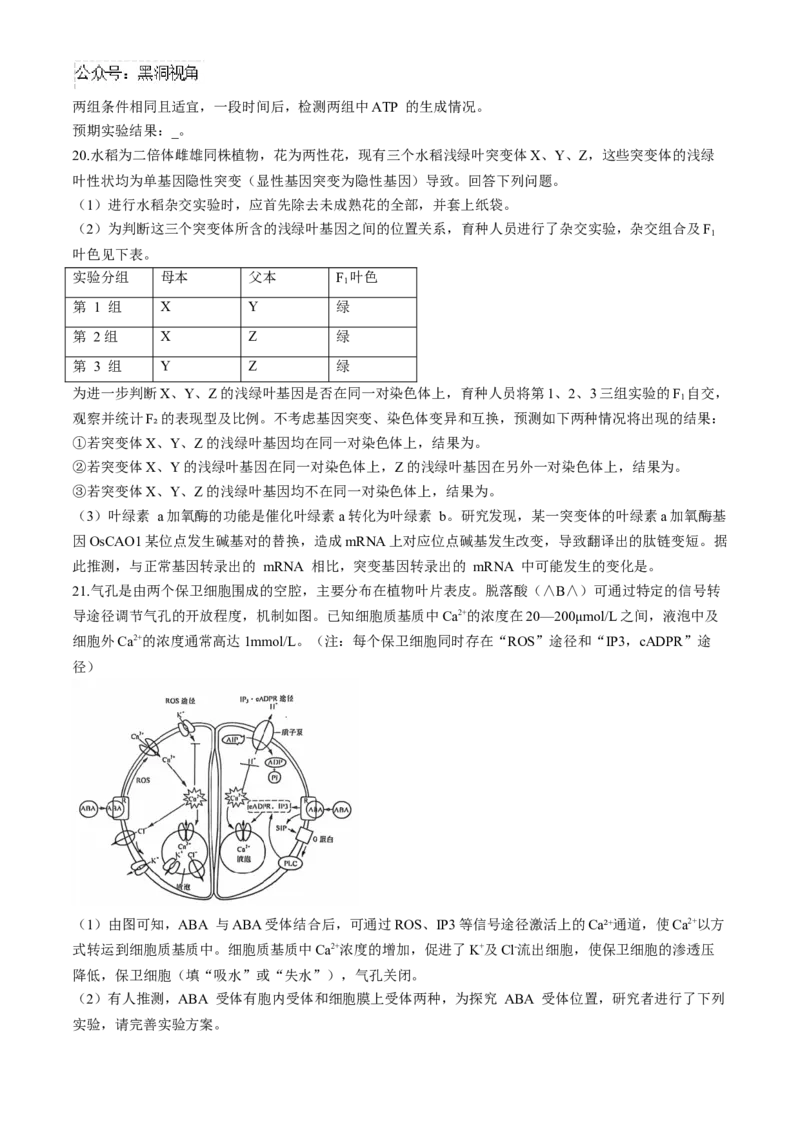 湖北省武汉市江岸区2024-2025学年高三上学期11月调考生物试卷（有答案）_2024-2025高三（6-6月题库）_2024年11月试卷_1118湖北省武汉市江岸区2024-2025学年高三上学期11月调研考试（全科）