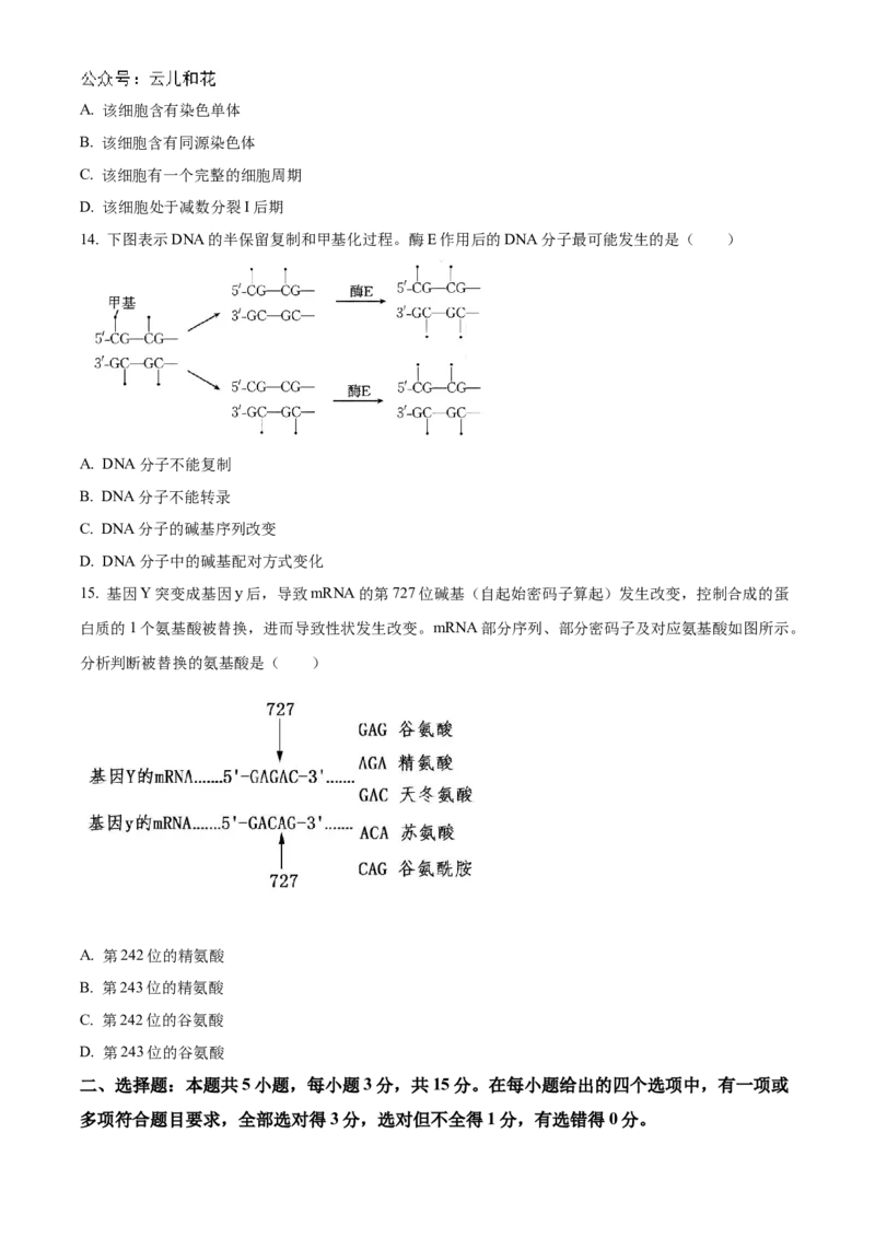 辽宁省部分名校2024-2025学年高二上学期10月联合质量检测试题生物Word版含答案_2024-2025高二（7-7月题库）_2024年11月试卷_1102辽宁省部分名校2024-2025学年高二上学期10月联合质量检测