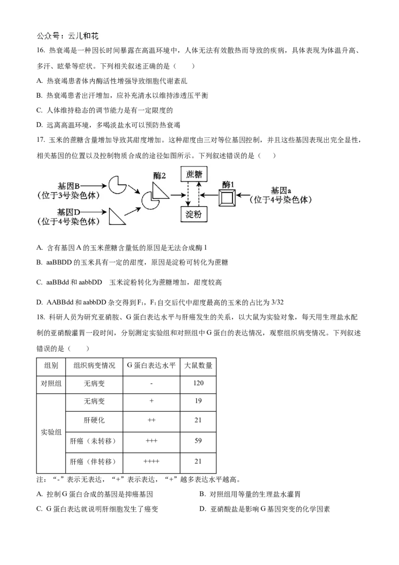 辽宁省部分名校2024-2025学年高二上学期10月联合质量检测试题生物Word版含答案_2024-2025高二（7-7月题库）_2024年11月试卷_1102辽宁省部分名校2024-2025学年高二上学期10月联合质量检测