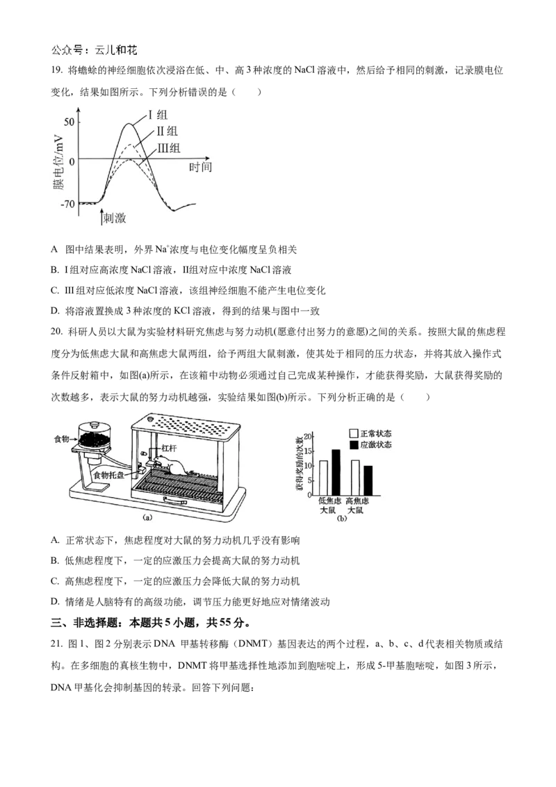 辽宁省部分名校2024-2025学年高二上学期10月联合质量检测试题生物Word版含答案_2024-2025高二（7-7月题库）_2024年11月试卷_1102辽宁省部分名校2024-2025学年高二上学期10月联合质量检测