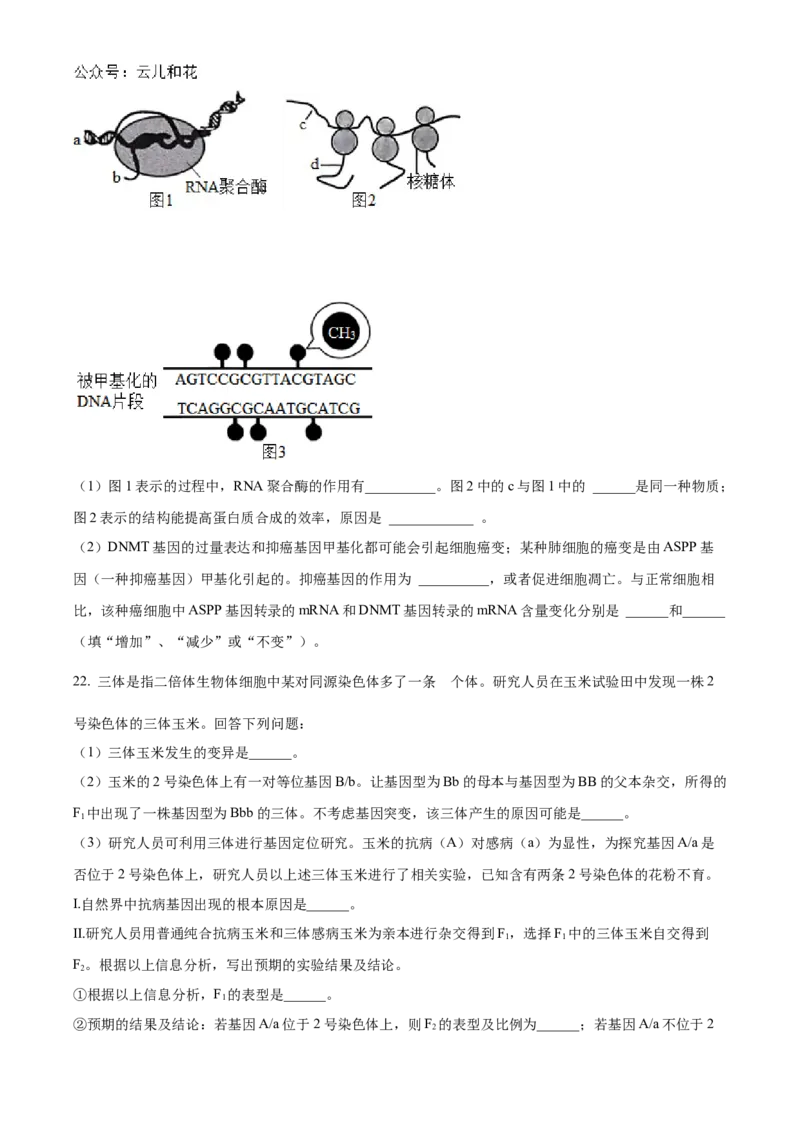 辽宁省部分名校2024-2025学年高二上学期10月联合质量检测试题生物Word版含答案_2024-2025高二（7-7月题库）_2024年11月试卷_1102辽宁省部分名校2024-2025学年高二上学期10月联合质量检测
