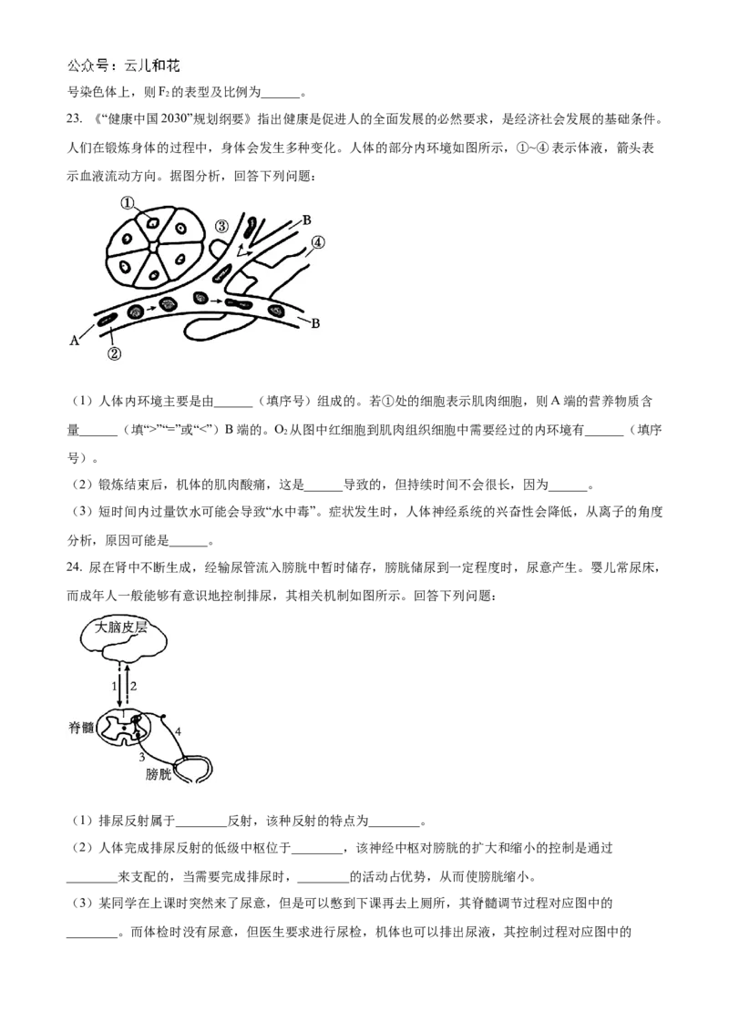 辽宁省部分名校2024-2025学年高二上学期10月联合质量检测试题生物Word版含答案_2024-2025高二（7-7月题库）_2024年11月试卷_1102辽宁省部分名校2024-2025学年高二上学期10月联合质量检测