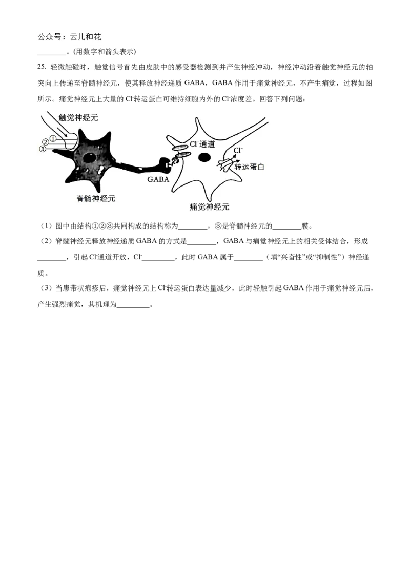 辽宁省部分名校2024-2025学年高二上学期10月联合质量检测试题生物Word版含答案_2024-2025高二（7-7月题库）_2024年11月试卷_1102辽宁省部分名校2024-2025学年高二上学期10月联合质量检测