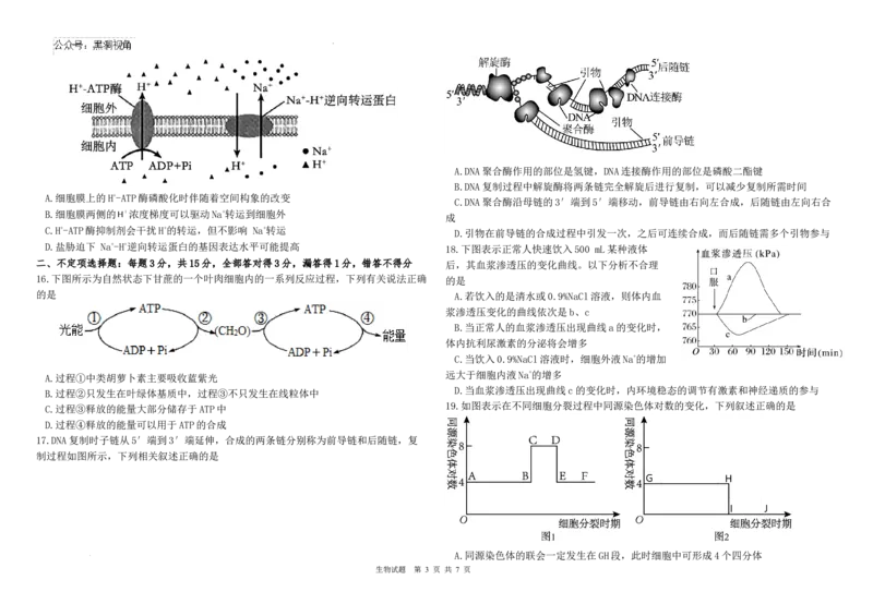黑龙江省哈尔滨师范大学青冈实验中学校2025届高三上学期期中考试生物_2024-2025高三（6-6月题库）_2024年12月试卷