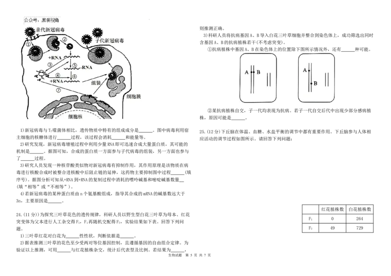 黑龙江省哈尔滨师范大学青冈实验中学校2025届高三上学期期中考试生物_2024-2025高三（6-6月题库）_2024年12月试卷