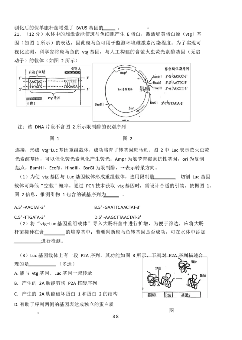 高二生物高二生物试卷_2024-2025高二（7-7月题库）_2025年04月试卷(1)_0427湖南省邵东市第三中学2024-2025学年高二下学期4月期中