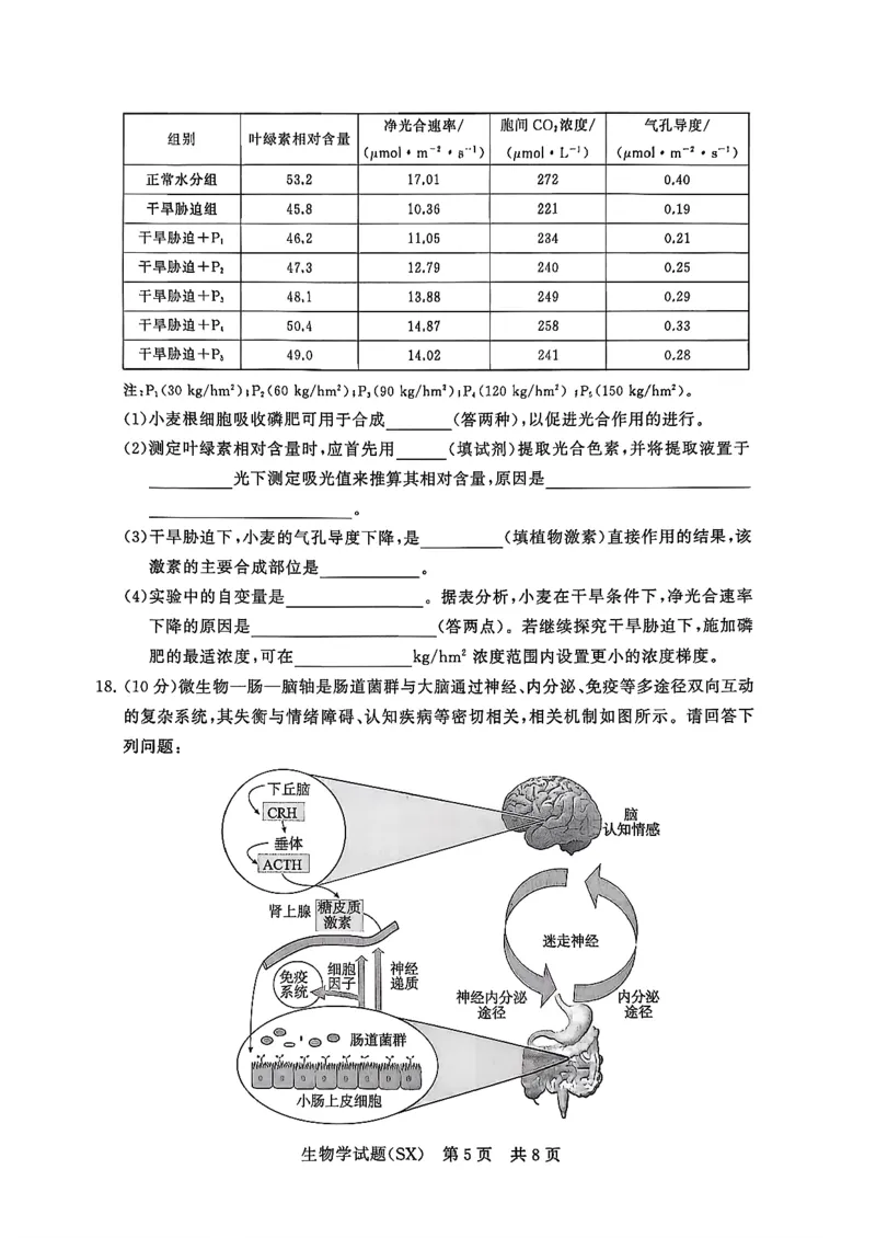 T8联考2026届高三年级12月检测训练生物(山西)_2024-2026高三（6-6月题库）_2025年12月高三试卷_2512252026届高三第一次学业质量评价联考（T8八省联考）（全科）_选科[山西专版]（全）